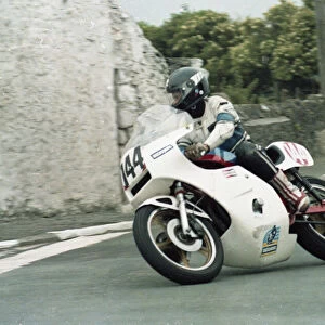 Dave Madsen-Mygdal (Kawasaki) 1982 Southern 100