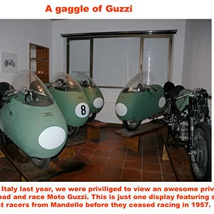 A gaggle of Guzzi