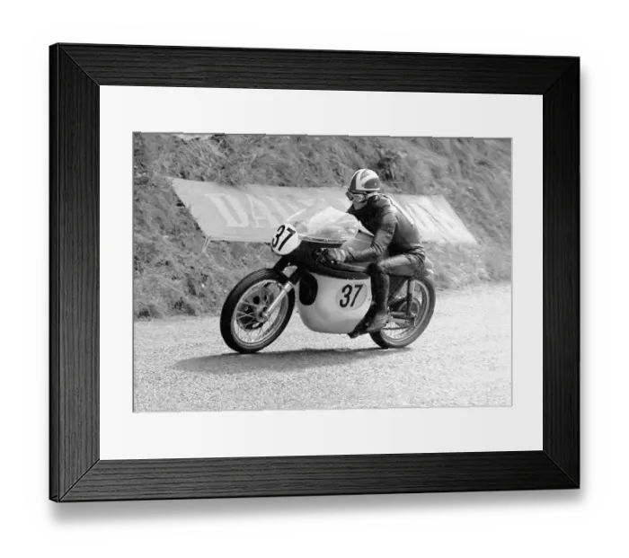 Framed Print : Peter Williams (Matchless) 1966 Senior TT Framed Print : Peter Williams (Matchless) 1966 Senior TT