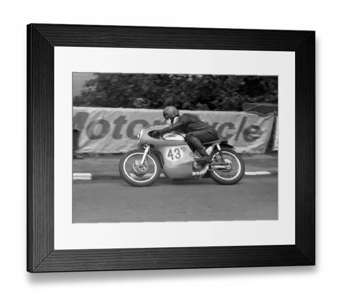 Framed Print : Tony Willmott (Norton) 1965 Senior TT Framed Print : Tony Willmott (Norton) 1965 Senior TT