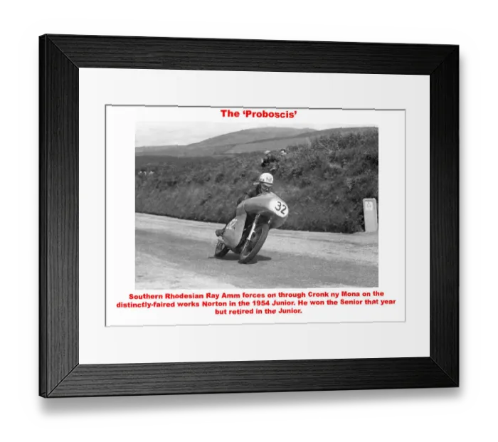 Framed Print : The Proboscis Framed Print : The Proboscis