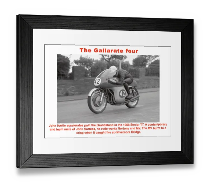 Framed Print : The Gallarate four