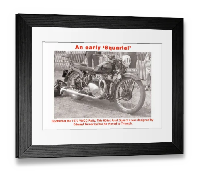 Framed Print : An early Squariel Framed Print : An early Squariel