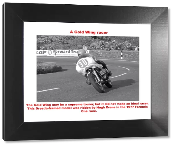 A Gold Wing racer