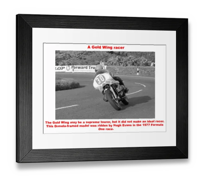 Framed Print : A Gold Wing racer Framed Print : A Gold Wing racer