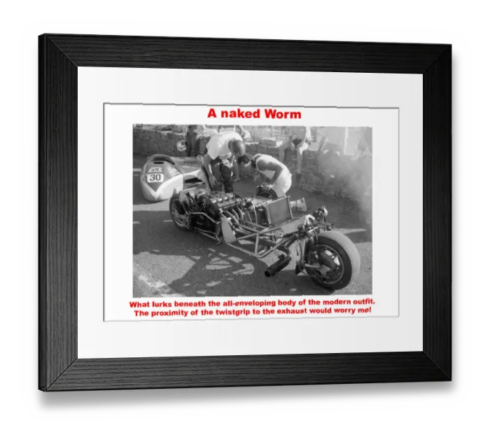 Framed Print : A naked Worm Framed Print : A naked Worm