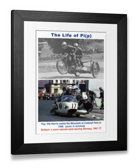 Framed Print : The Life of Pi(p)