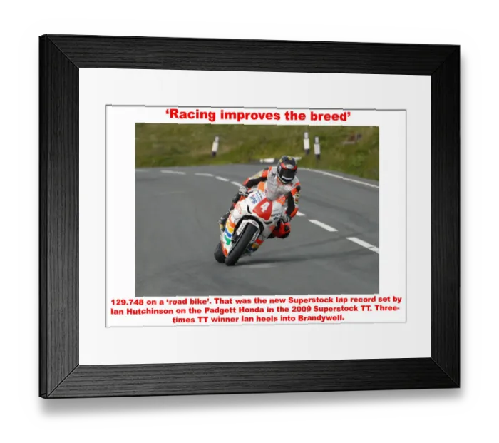 Framed Print : Racing improves the breed Framed Print : Racing improves the breed