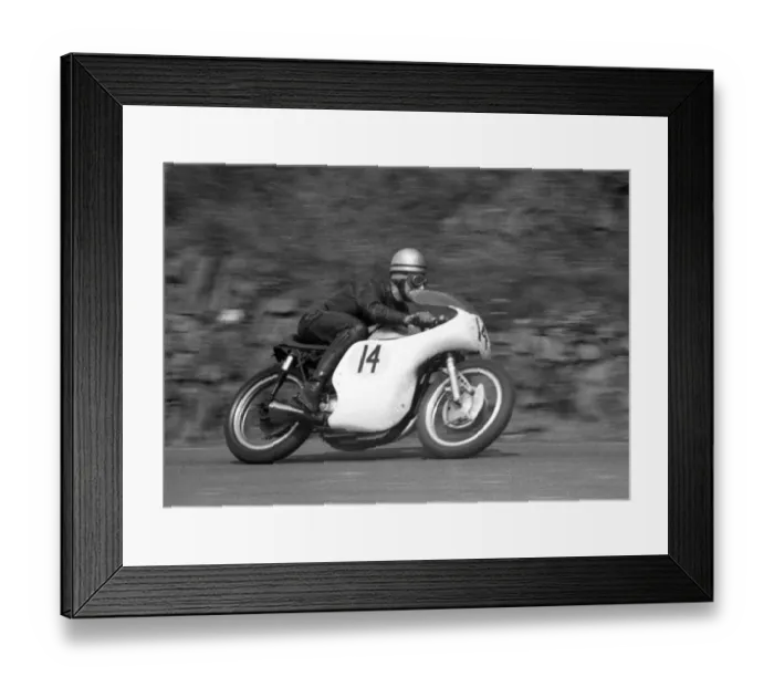 Framed Print : Brian Setchell (Norton) 1964 Senior TT Framed Print : Brian Setchell (Norton) 1964 Senior TT
