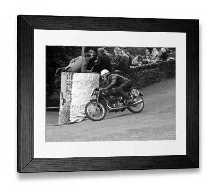Framed Print : Ross Porter (MV) 1955 Ultra Lightweight TT Framed Print : Ross Porter (MV) 1955 Ultra Lightweight TT