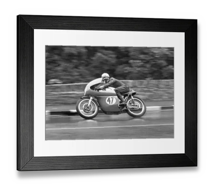 Framed Print : Jimmy Guthrie jnr (Norton) 1965 Senior Manx Grand Prix Framed Print : Jimmy Guthrie jnr (Norton) 1965 Senior Manx Grand Prix