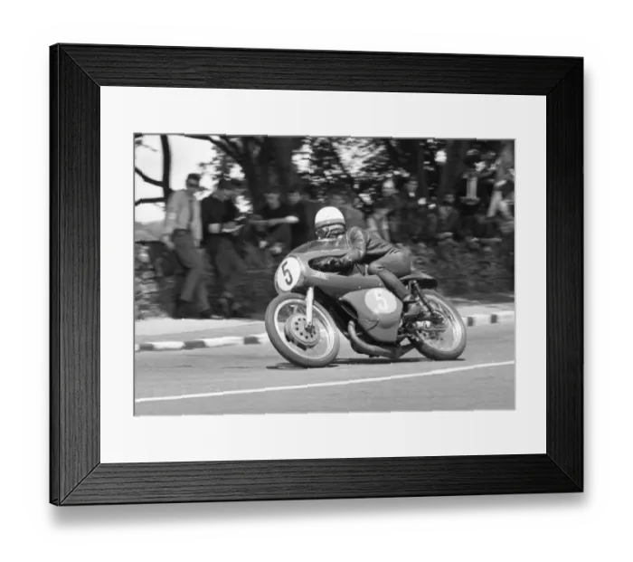 Framed Print : Derek Minter (Cotton) 1964 Lightweight TT Framed Print : Derek Minter (Cotton) 1964 Lightweight TT