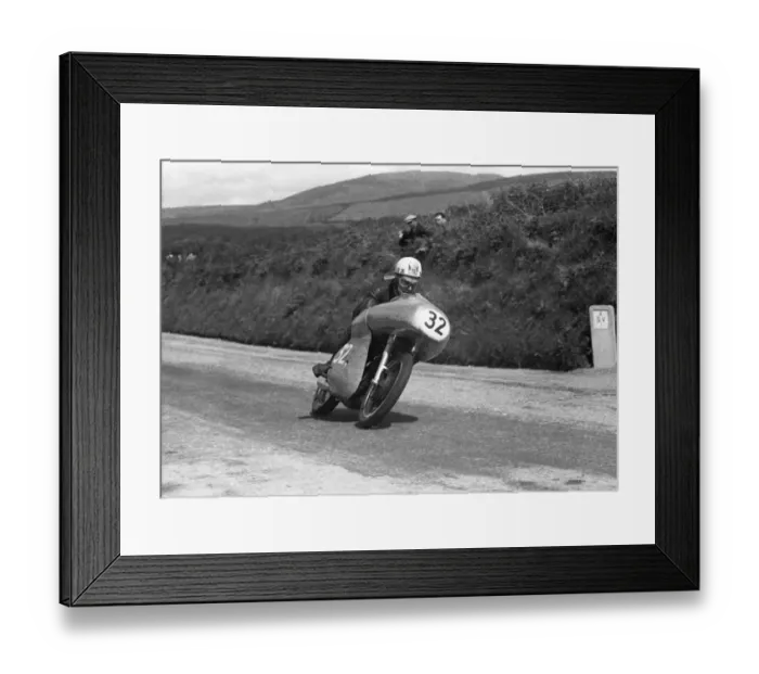 Framed Print : Ray Amm and the Proboscis Framed Print : Ray Amm and the Proboscis