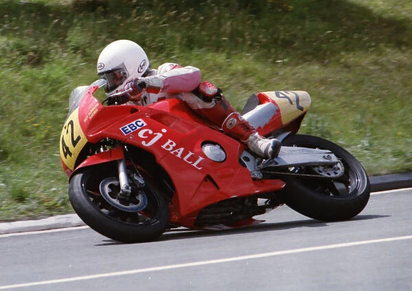 Dave Goodley (Honda) 1994 Supersport 600 TT