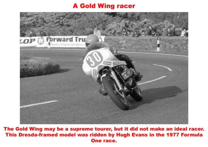 Framed Print : A Gold Wing racer Framed Print : A Gold Wing racer