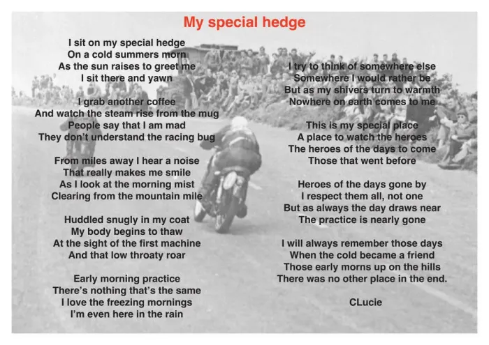 Framed Print : My special hedge Framed Print : My special hedge