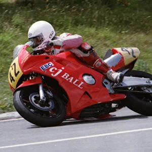 Dave Goodley (Honda) 1994 Supersport 600 TT
