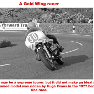 A Gold Wing racer