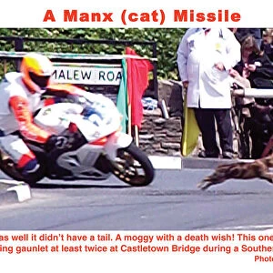 A Manx (cat) Missile