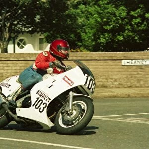 Mick Williams (Honda) 1987 Formula One TT