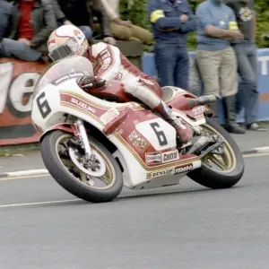 Mike Hailwood Suzuki 1980 Classic TT Print Mike Hailwood Suzuki 1980 Classic TT Print