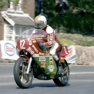 1978 Formula One TT Print: Mike Hailwood's Ducati Victory. Art