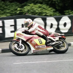 1979 Senior TT Print: Mike Hailwood's Final Isle of Man Appearance 1979 Senior TT Print: Mike Hailwood's Final Isle of Man Appearance