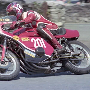 Peter Eaton (Rickman Kawasaki) 1980 Southern 100