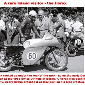 A rare Island visitor - the Horex