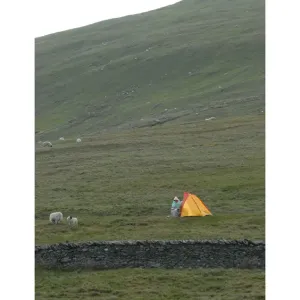 Solitude Solitude