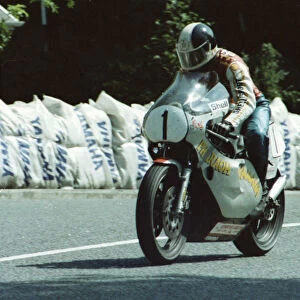 Steve Ward (Pharaoh Yamaha) 1981 Classic TT