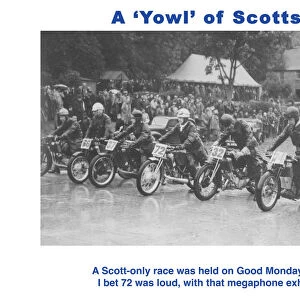 A Yowl of Scotts?