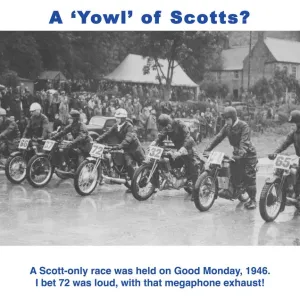 A Yowl of Scotts? A Yowl of Scotts?