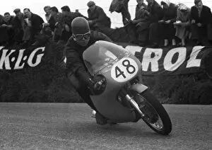 Images Dated 18th October 2018: Alan Trow (Norton) 1958 Senior TT