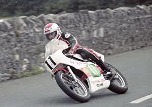 Brian Reid (Yamaha) 1981 Southern 100