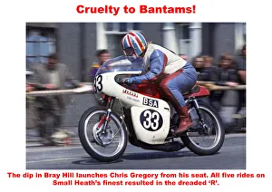 Chris Gregory Gallery: Cruelty to Bantams