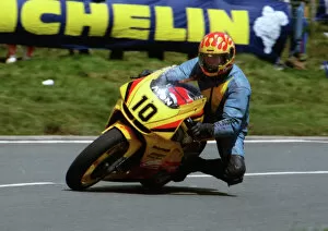 Images Dated 23rd February 2018: Dave Leach (Kawasaki) 1995 Junior TT