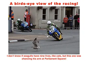 EX TT 2016 seagull