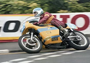Frank Rutter (Honda) 1979 Formula Two TT