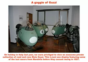 A gaggle of Guzzi