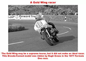 Hugh Evans Gallery: A Gold Wing racer