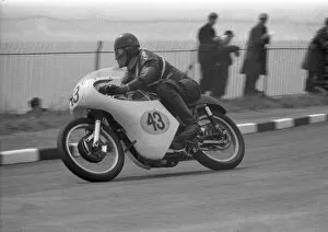 Images Dated 10th October 2019: Jimmy Morton (Matchless) 1964 Senior TT
