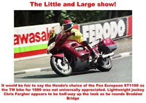 Chris Fargher Gallery: The Little and Large show