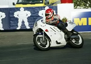 Petr Hlavatka (Suzuki) 1991 Formula One TT