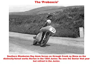 The Proboscis