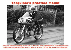 Images Dated 27th October 2019: Tarquinios practice mount