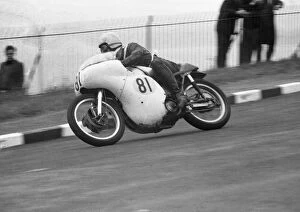 Images Dated 10th October 2019: Tony Willmott (Norton) 1964 Senior TT